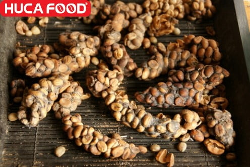 Cà phê chồn giá bao nhiêu, mua cà phê chồn arabica, robusta, moka ở đâu giá tốt?
