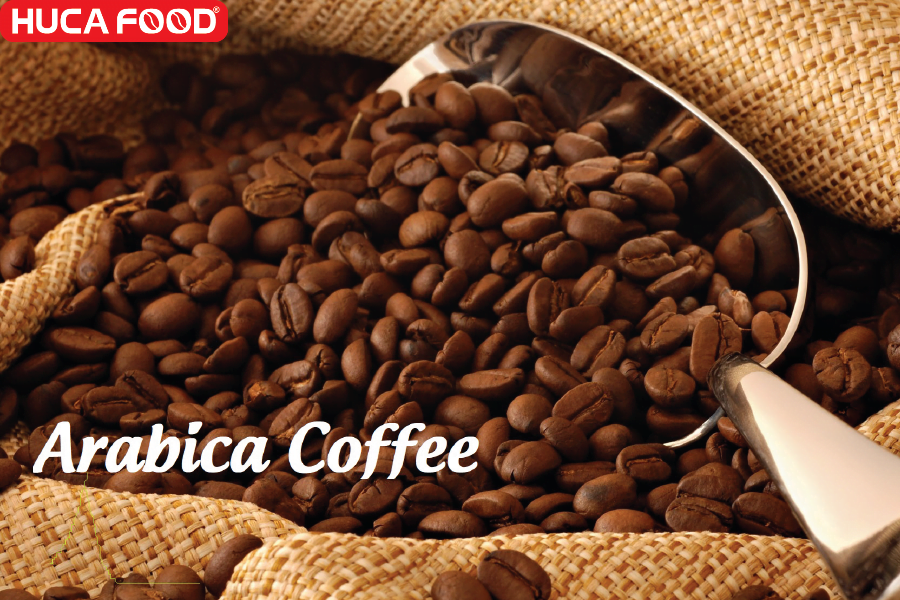 Dịch vụ cung cấp cà phê arabica hạt rang sẵn giá tốt toàn quốc